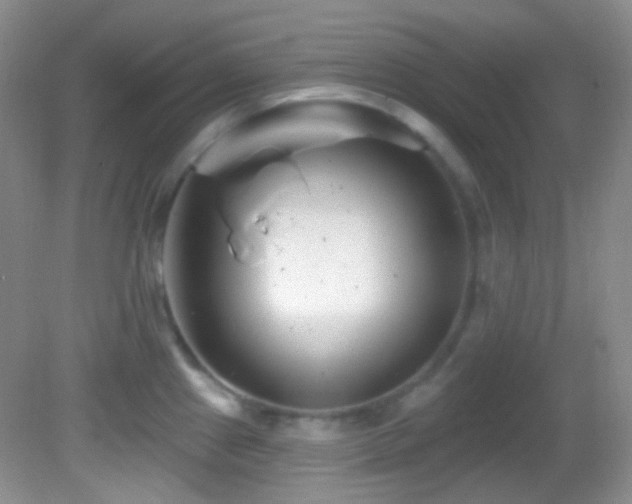 X0000082731241200701261237