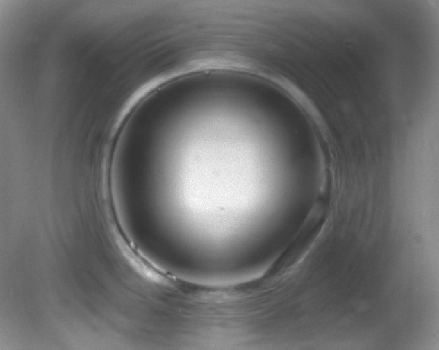 X0000082731246200701261237