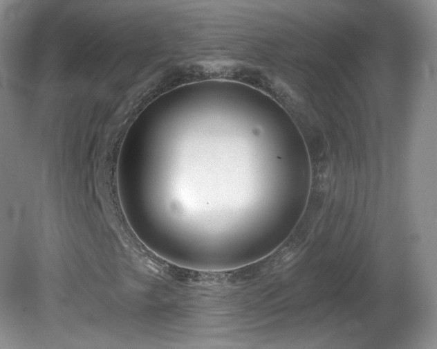 X0000082731249200701261236