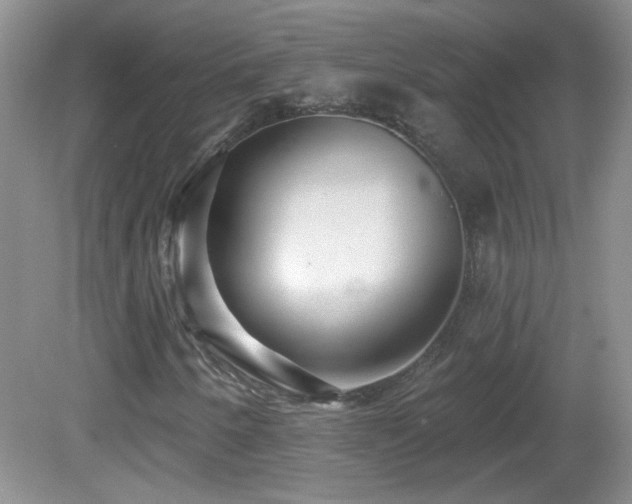 X0000082731250200701261236