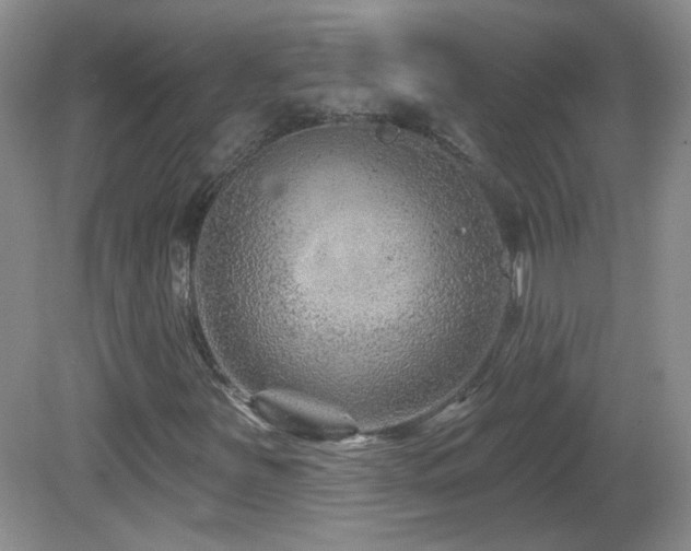 X0000082731251200701261236