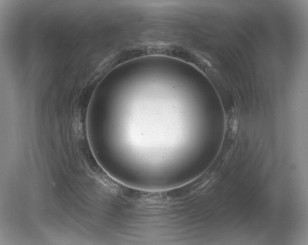 X0000082731252200701261236