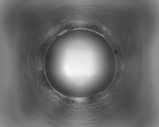 X0000082731253200701261236