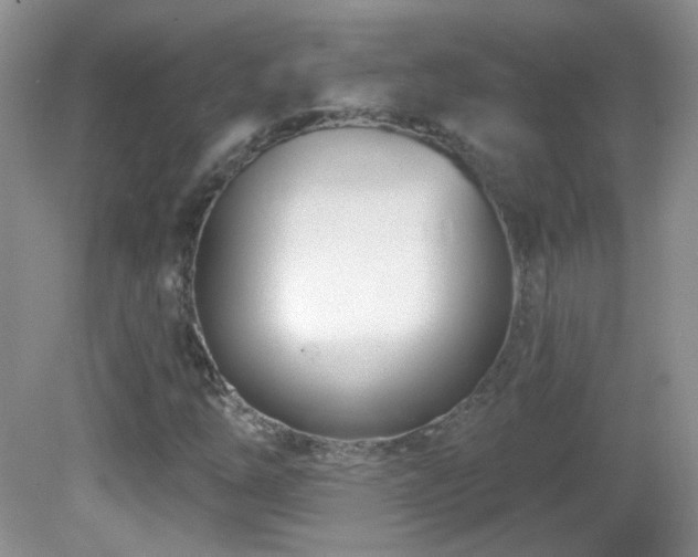 X0000082731254200701261236
