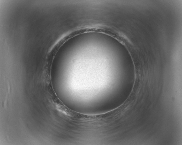 X0000082731256200701261236