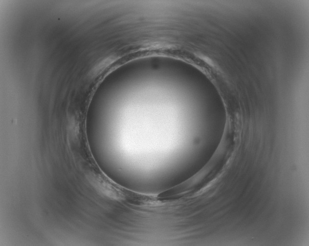 X0000082731257200701261236