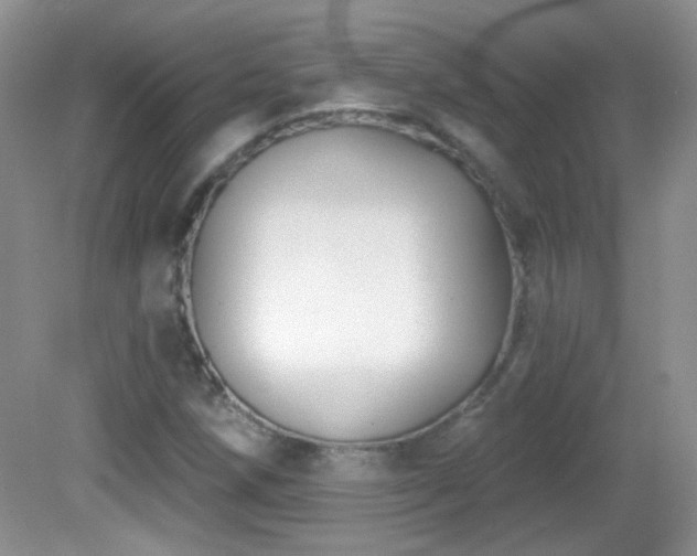 X0000082731258200701261236