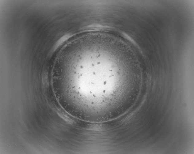 X0000082731259200701261236