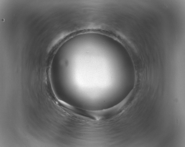X0000082731262200701261236