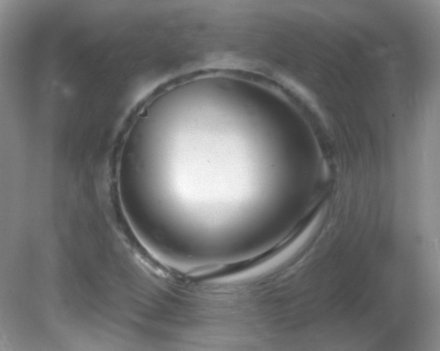 X0000082731264200701261236