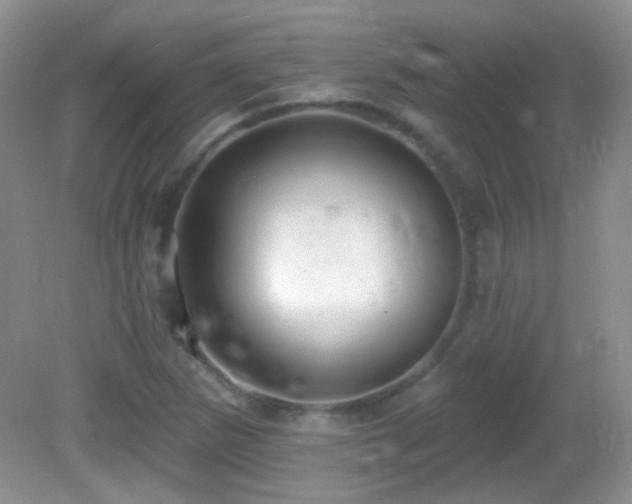 X0000082731265200701261236