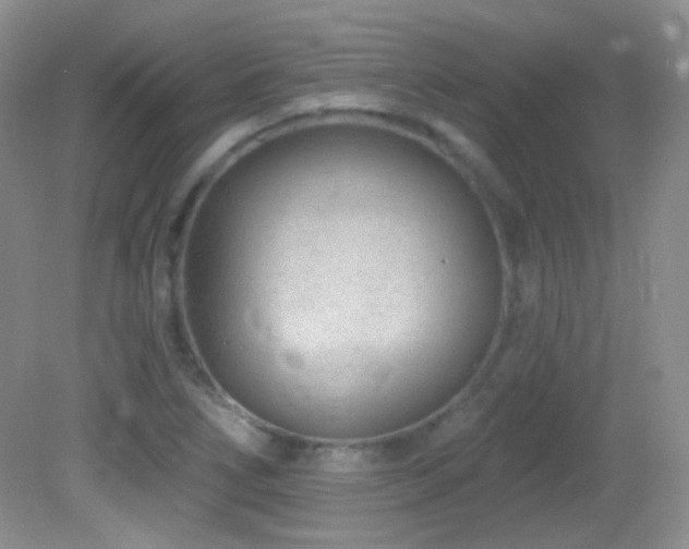 X0000082731266200701261236
