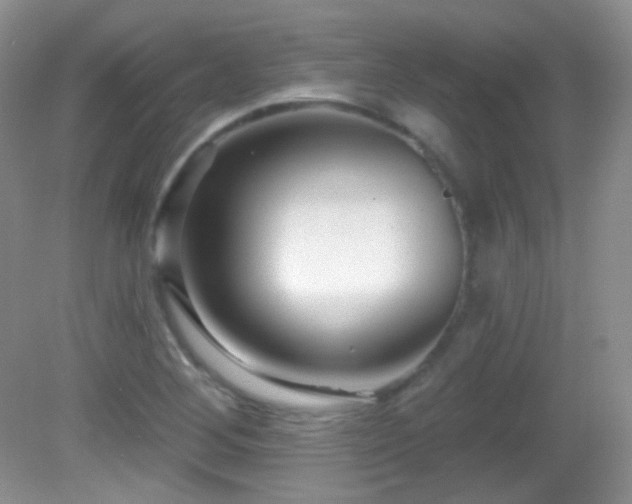 X0000082731268200701261236