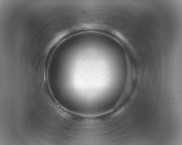 X0000082731269200701261236