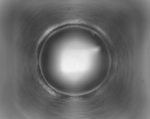 X0000082731270200701261236