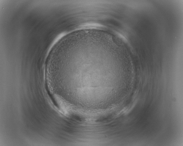 X0000082731275200701261235