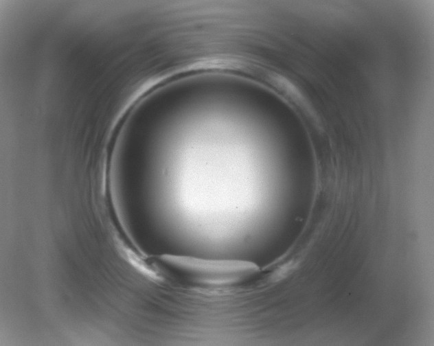 X0000082731276200701261235