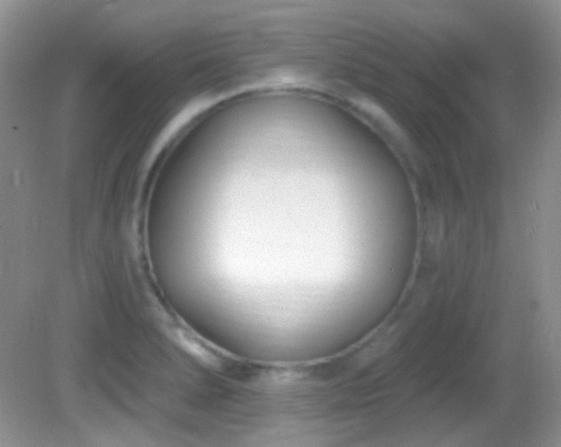 X0000082731278200701261235