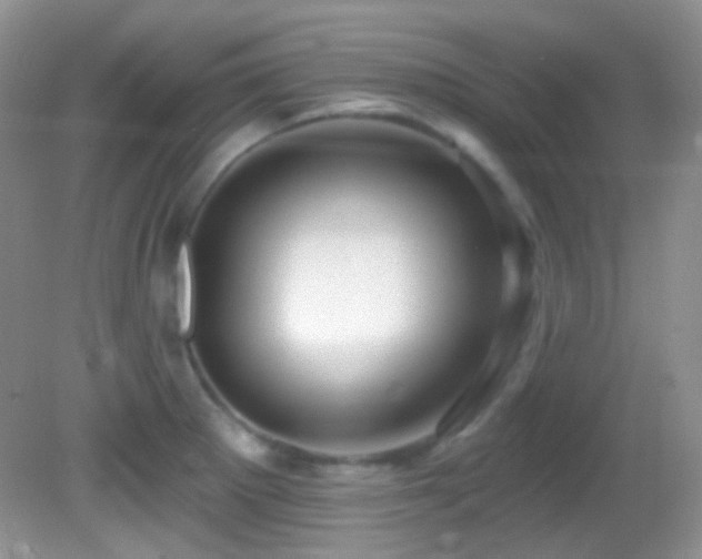 X0000082731281200701261235