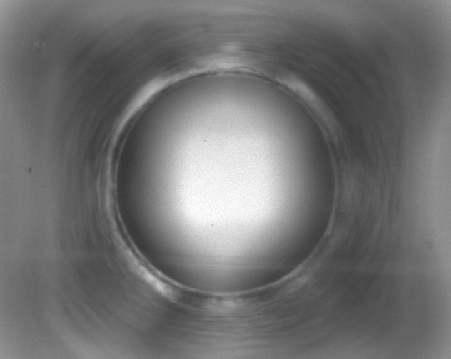 X0000082731286200701261235