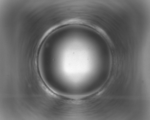 X0000082731288200701261235