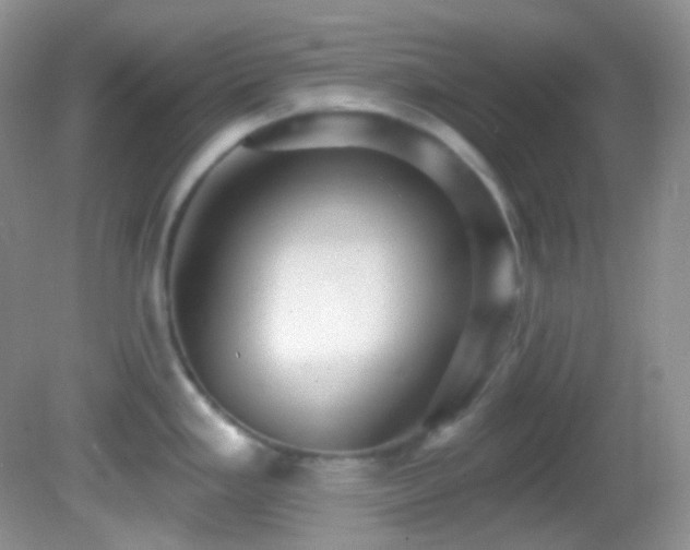 X0000082731293200701261235