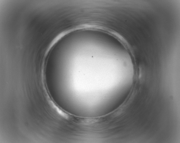 X0000082731294200701261235