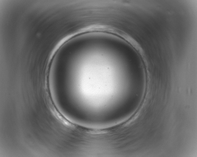 X0000082731296200701261235