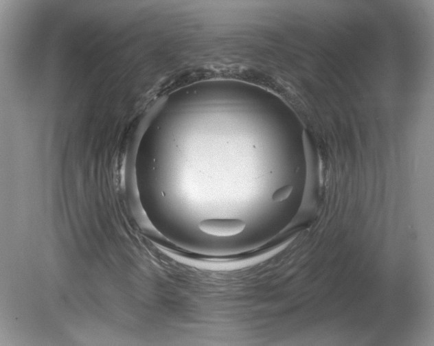 X0000082731298200701261234