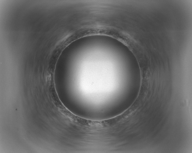 X0000082731302200701261234