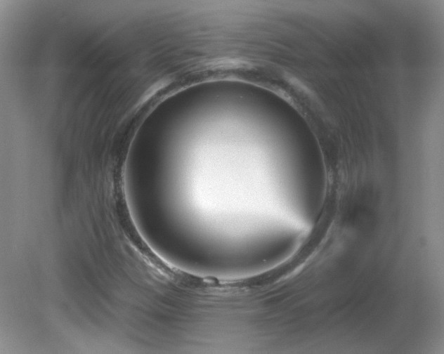 X0000082731305200701261234