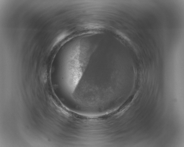 X0000082731306200701261234