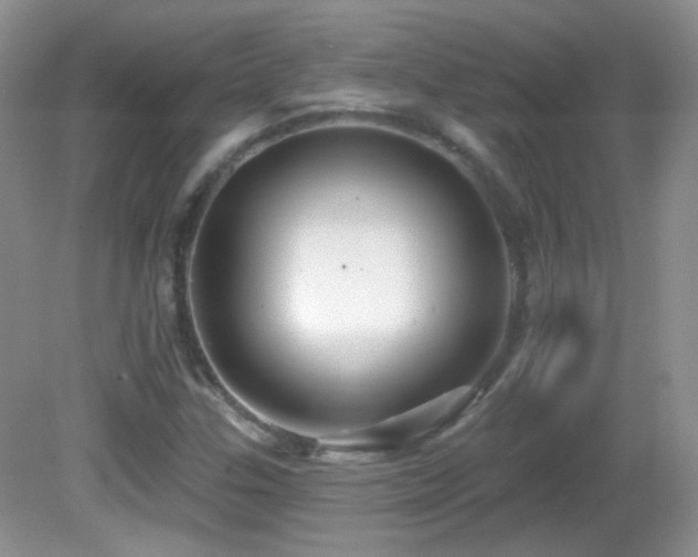 X0000082731307200701261234