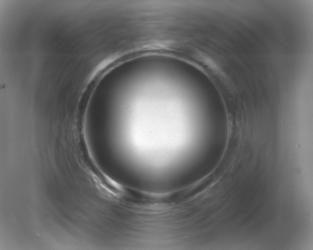 X0000082731308200701261234