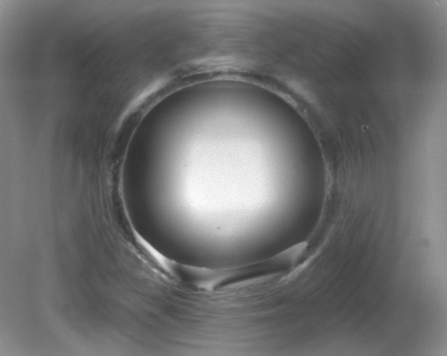 X0000082731309200701261234