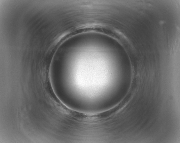 X0000082731313200701261235