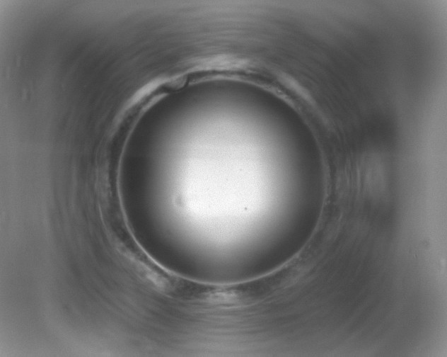 X0000082731315200701261235