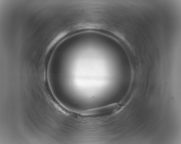 X0000082731317200701261235
