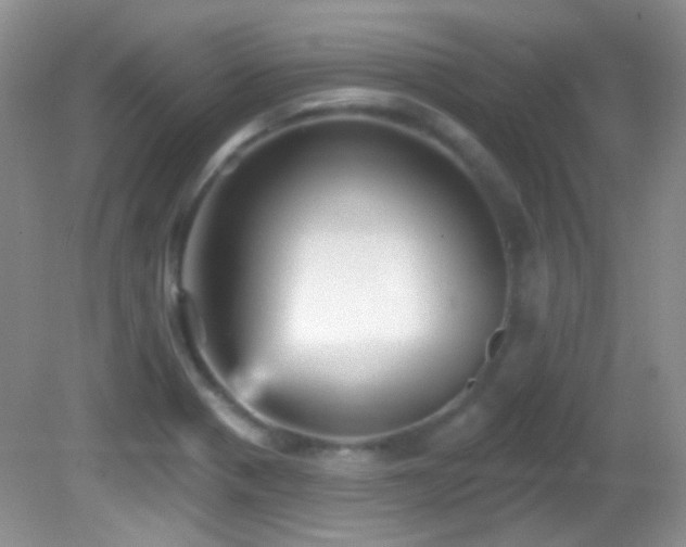 X0000082731321200701261235
