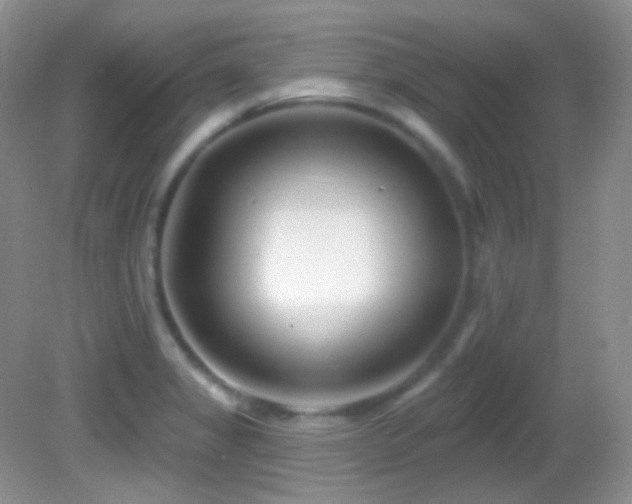 X0000082731325200701261235