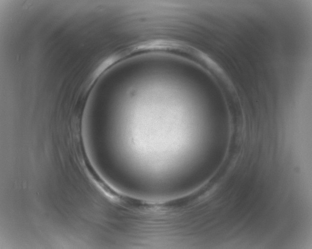 X0000082731329200701261235