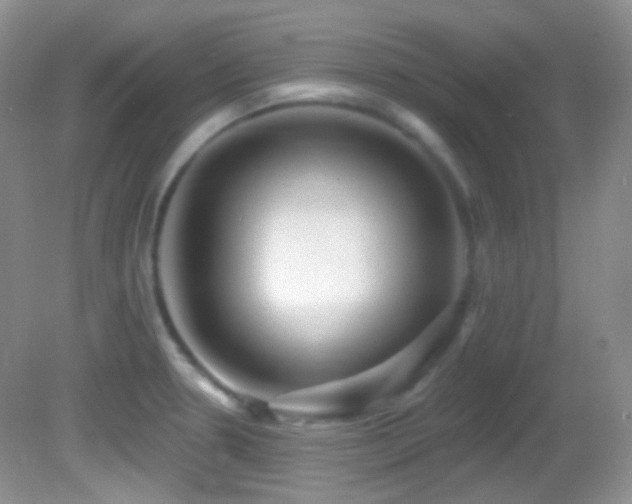 X0000082731330200701261235