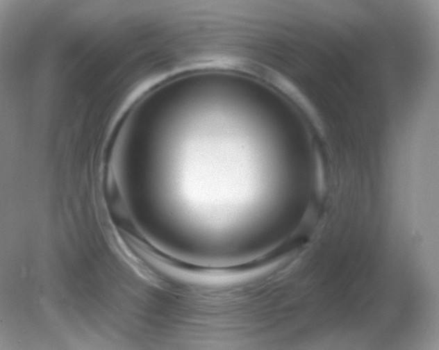 X0000082731332200701261235
