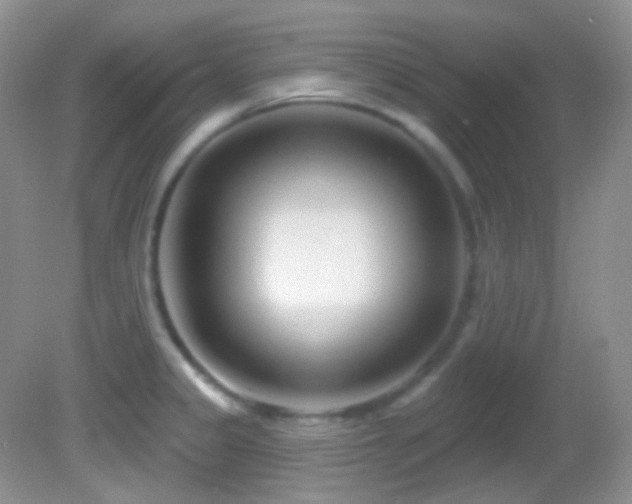 X0000082731333200701261235