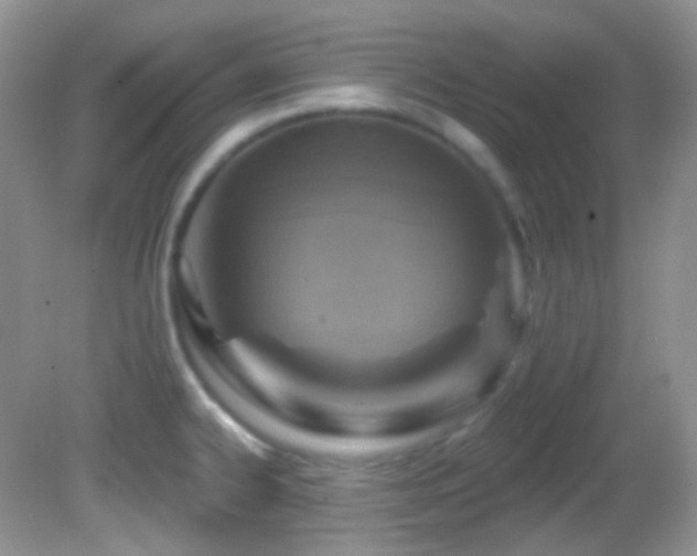 X0000082731334200701261235