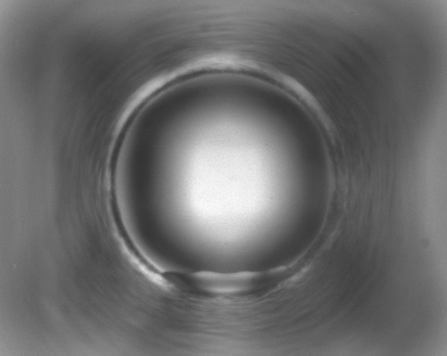 X0000082731335200701261235