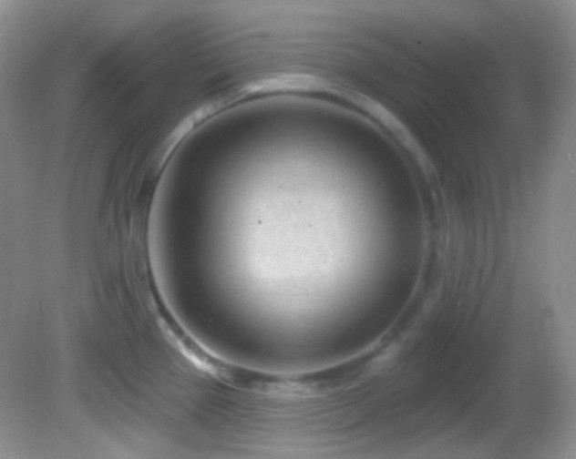 X0000082731337200701261235