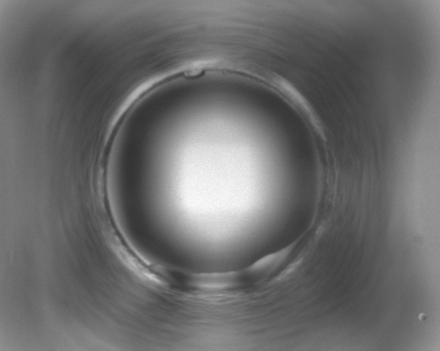 X0000082731340200701261235