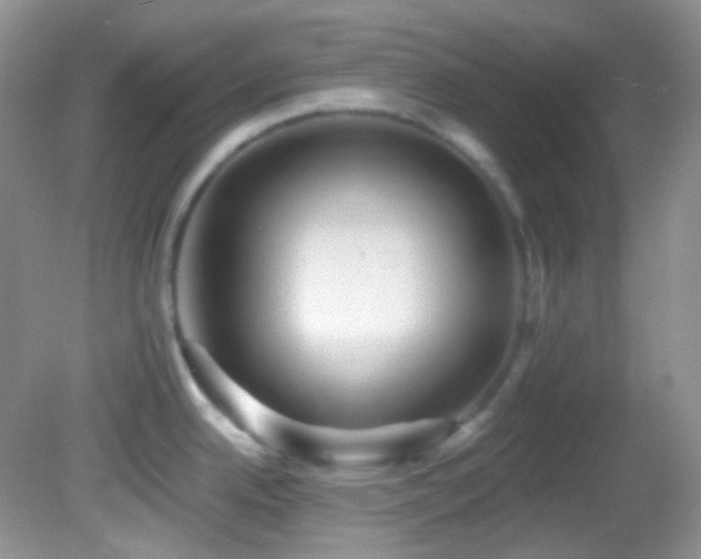 X0000082731342200701261235