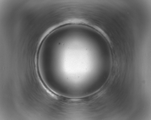 X0000082731343200701261235